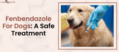 Fenbendazole For Dogs